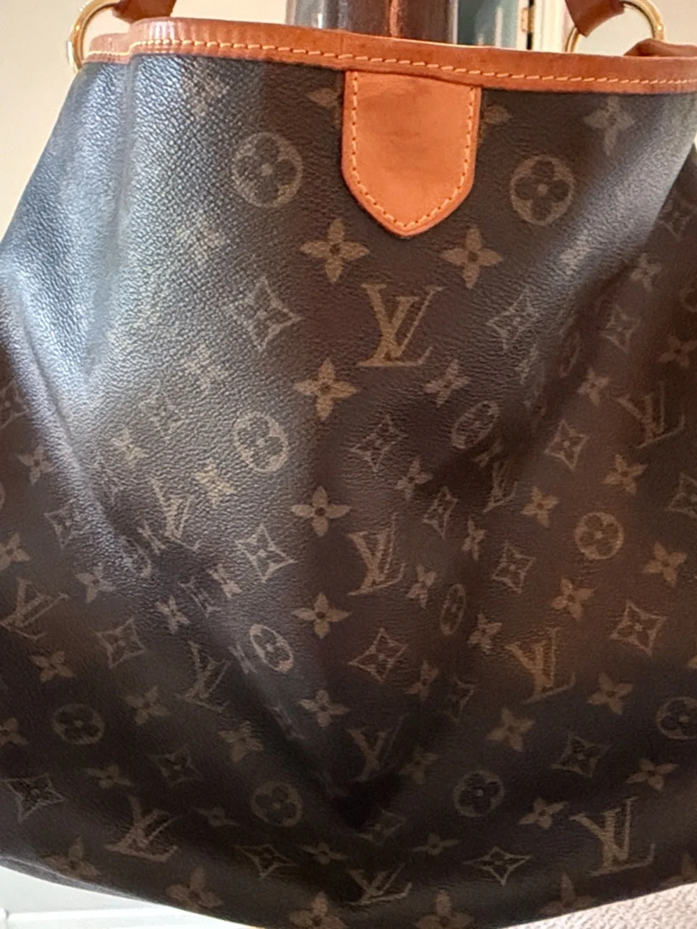Louis Vuitton Monogram Canvas Shoulder Bag with Vachetta Trim